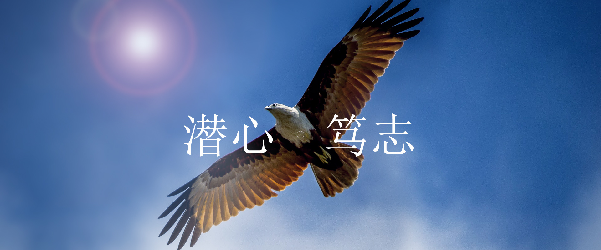 帆鹰警用器材