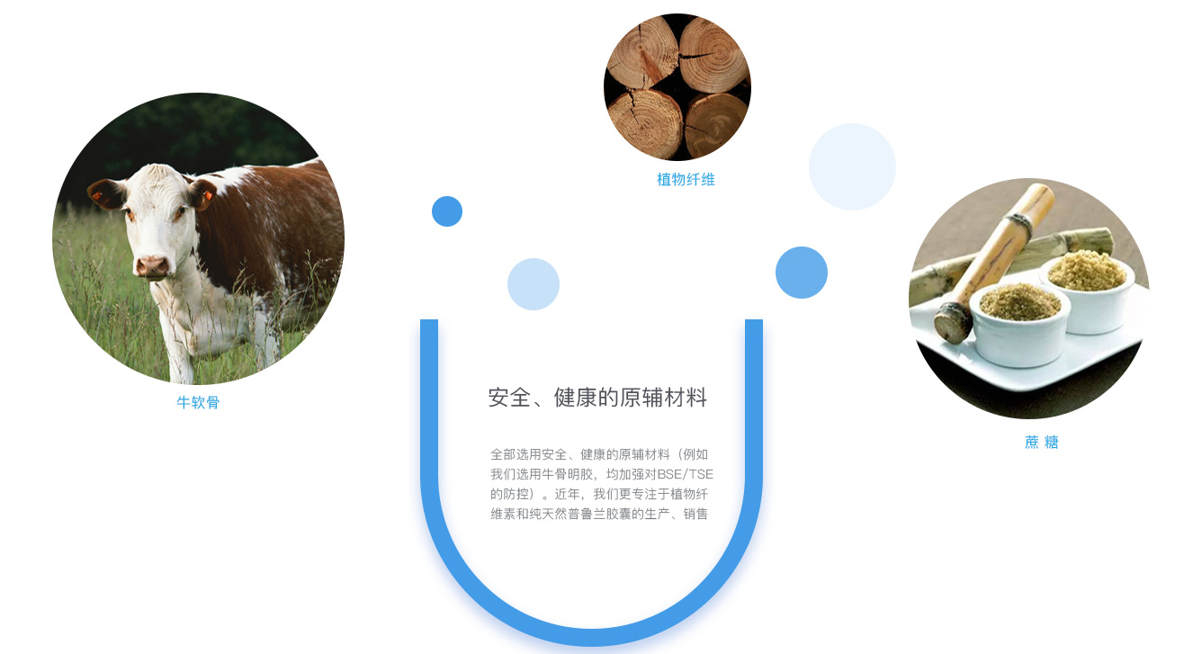 浙江亚利大胶丸有限公司