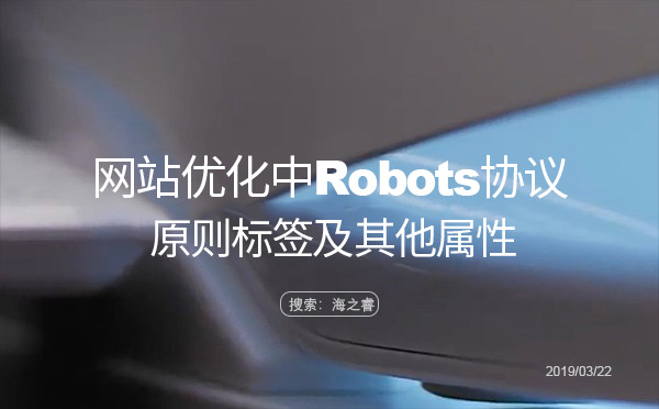 网站优化中Robots协议的原则标签及其他属性