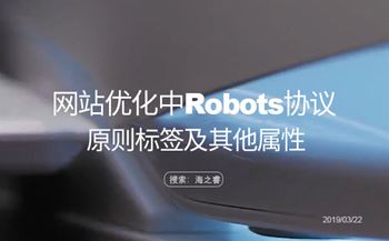 网站优化中Robots协议的原则标签及其他属性