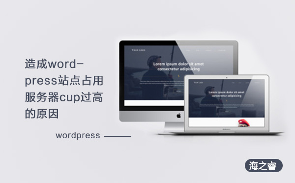 造成wordpress站点占用服务器cup过高的原因