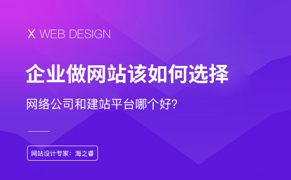 做网站找网络公司和找建站平台哪个好