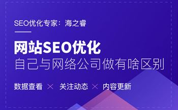 网络公司做优化与企业自己做有啥区别